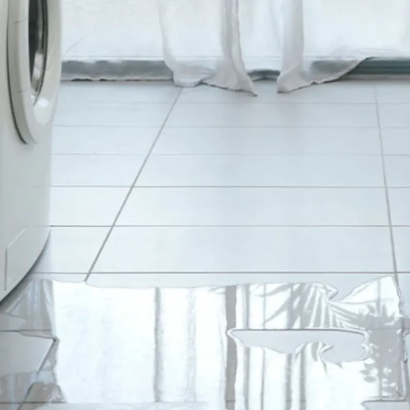 Appliance Leak Cleanup in San Carlos, TX