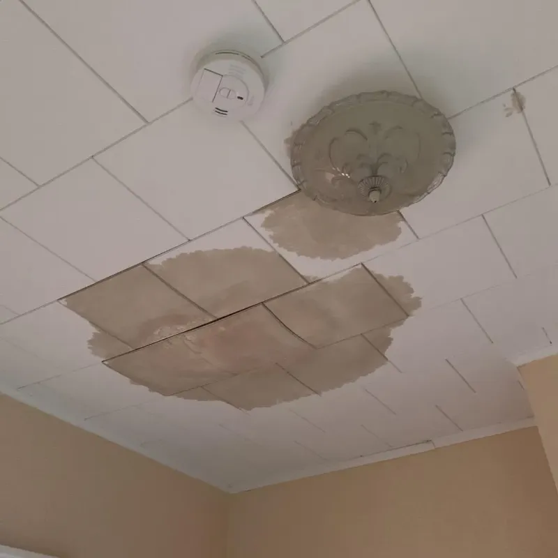 Ceiling Water Damage Repair in San Carlos, TX