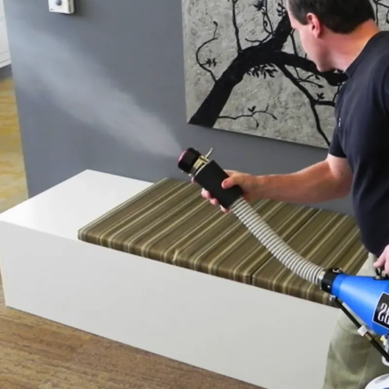 Professional Odor Removal in San Carlos, TX